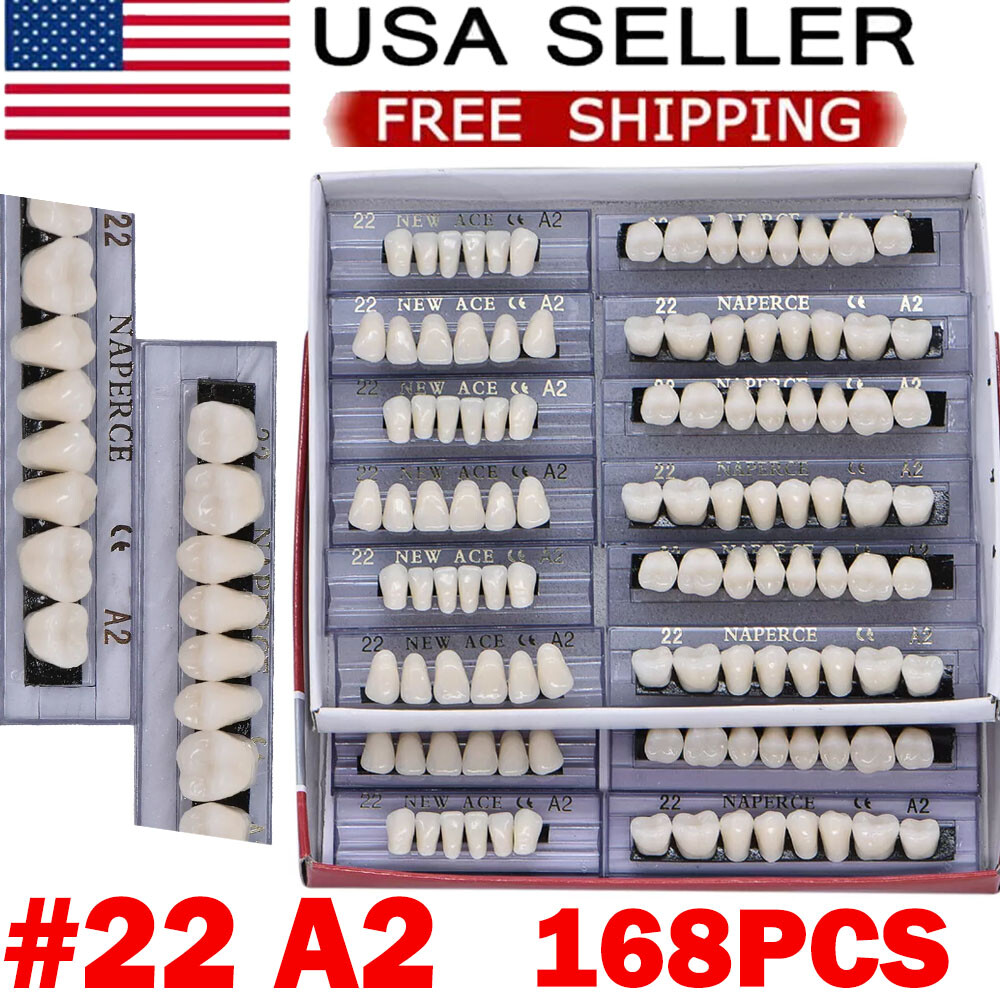 168Pcs Acrylic Resin Denture #22 Dental Upper Lower Shade A2 Teeth Set 22#A2 USA