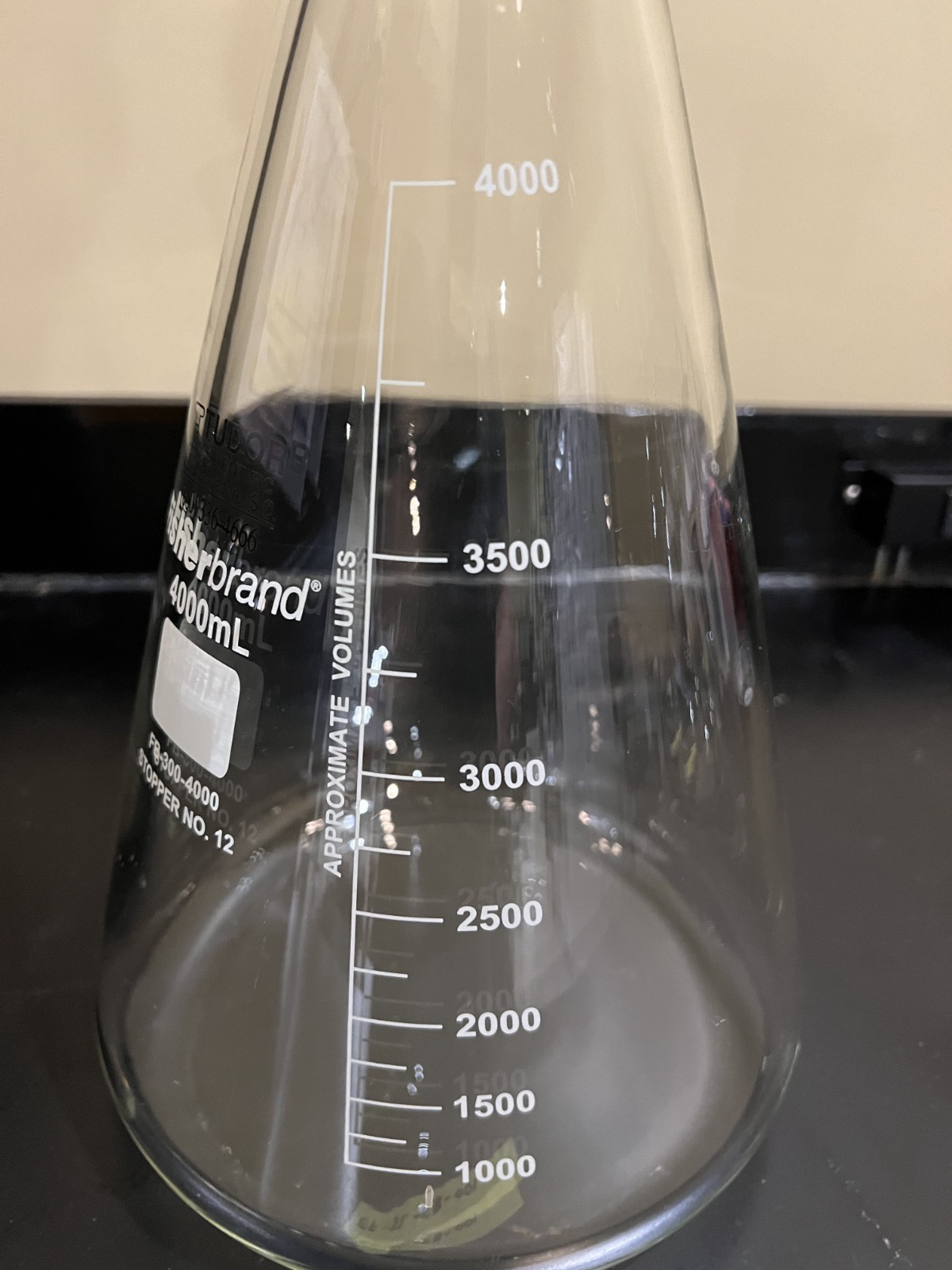 4000mL Capacity Clear Glass Filter Side-Arm Flask, Fisher Brand FB-300-4000