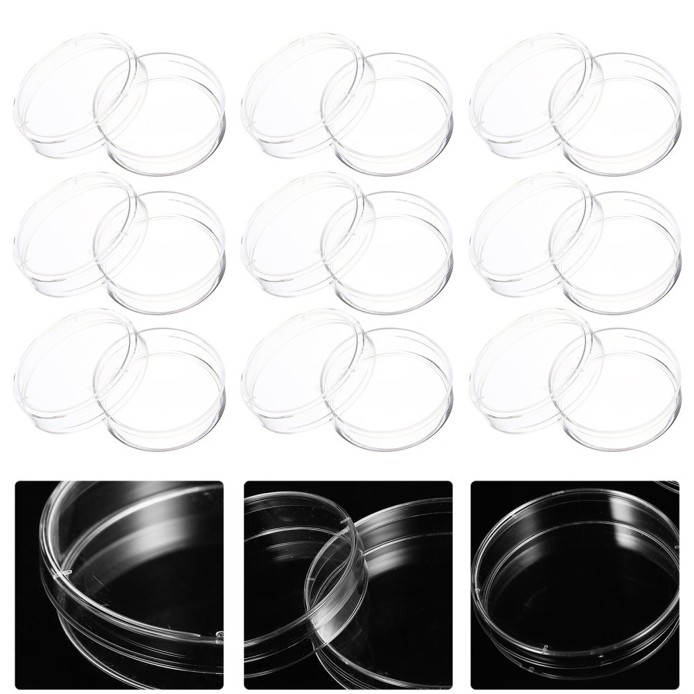 Set of 3 Science Experiment Supply Plate Petri Dish with Agar Culture