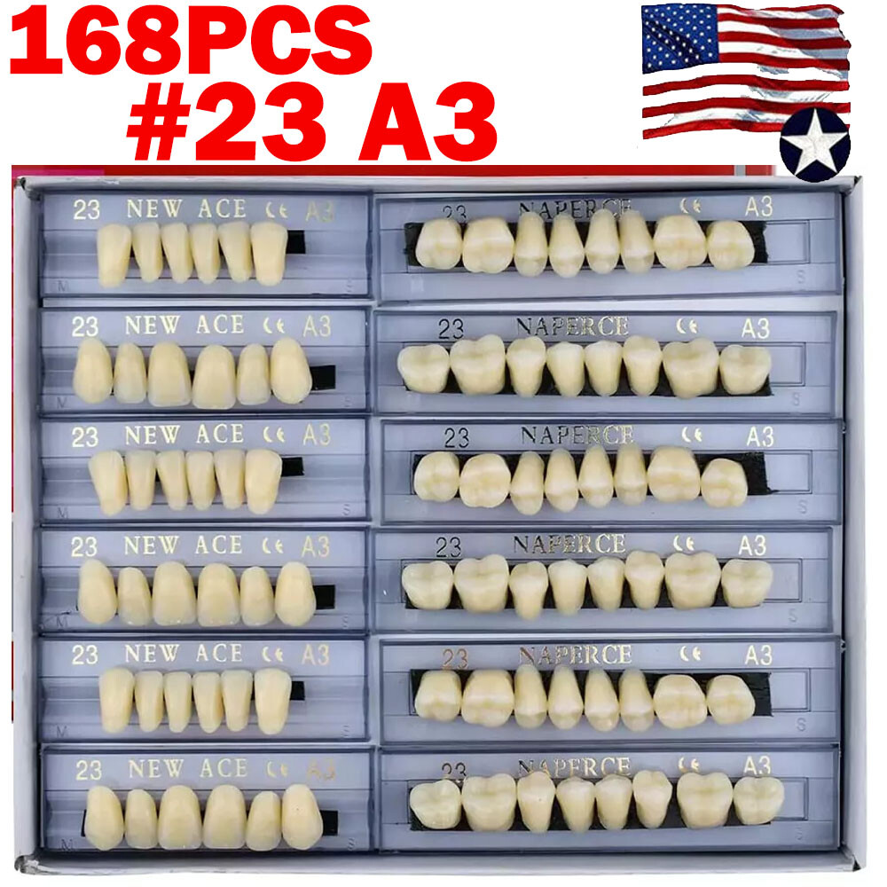 168Pcs Dental Acrylic Resin Denture A3#23 Shade Full Upper Lower False Teeth US