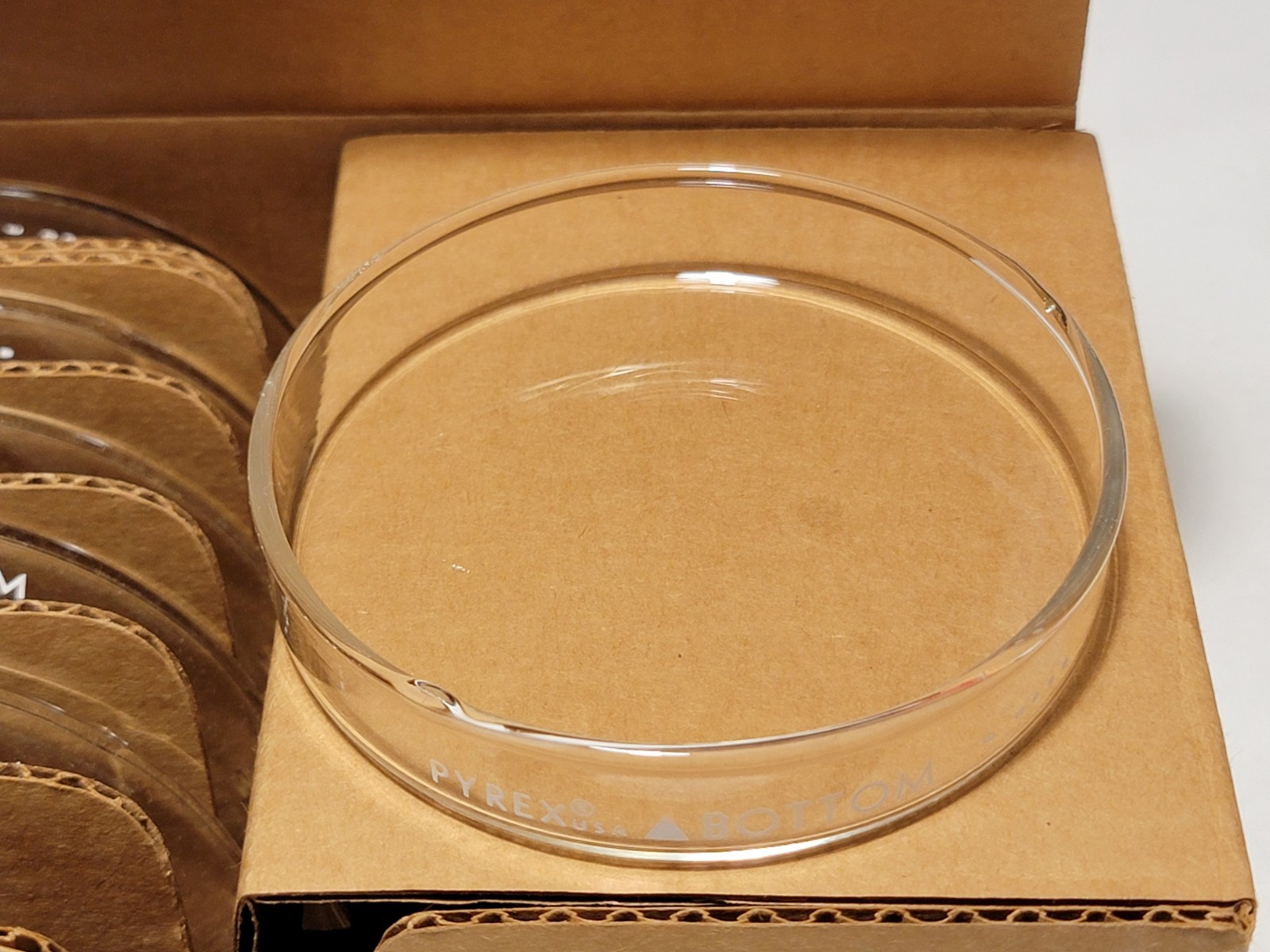 12 X Pyrex Lab Culture Petri Dish Bottoms 100mm X 15mm 3160-101BO Glass 422310