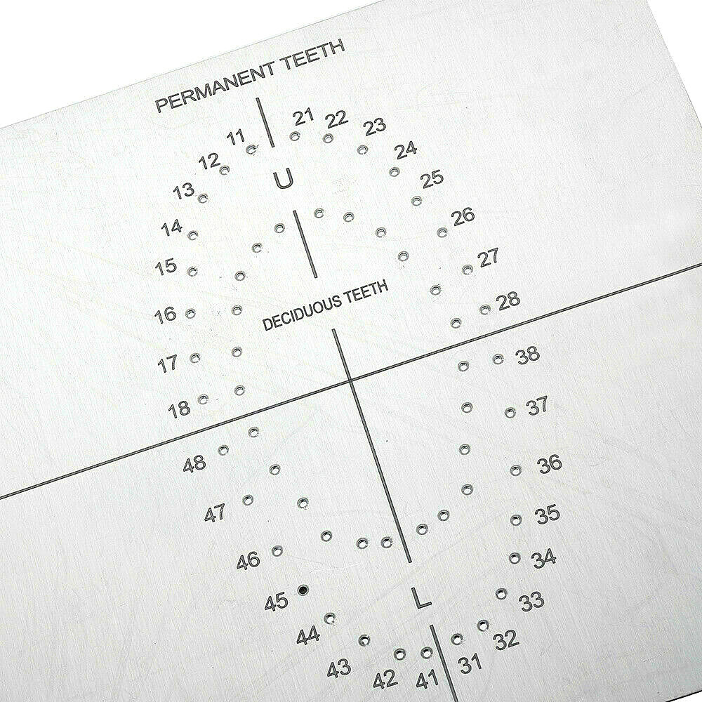 Dental Dam Punch Template Permannent Deciduous Teeth Holes Guide Plate S.S