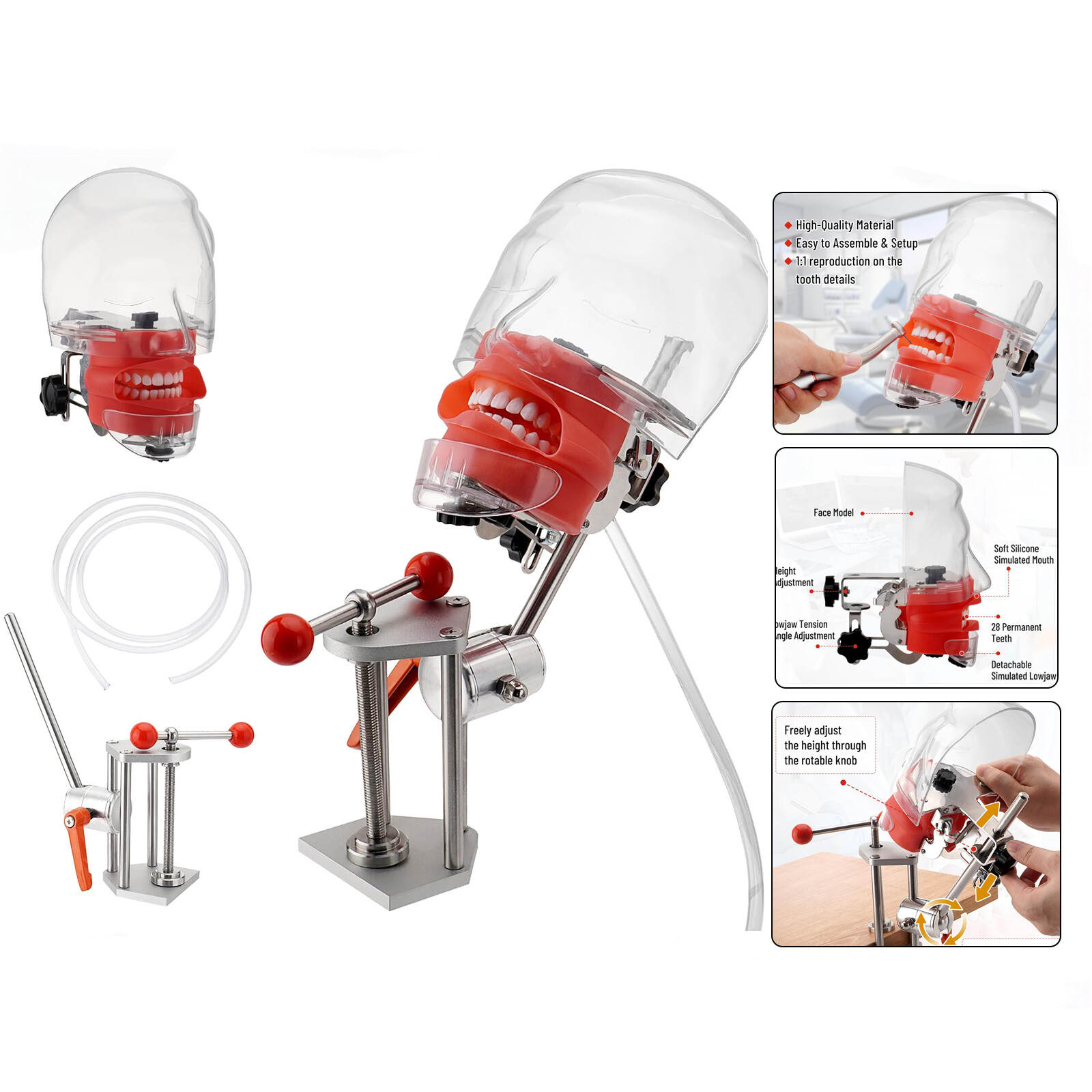 New Dental Simulator Manikin Phantom Head Model for Dentists & Dental Assistants