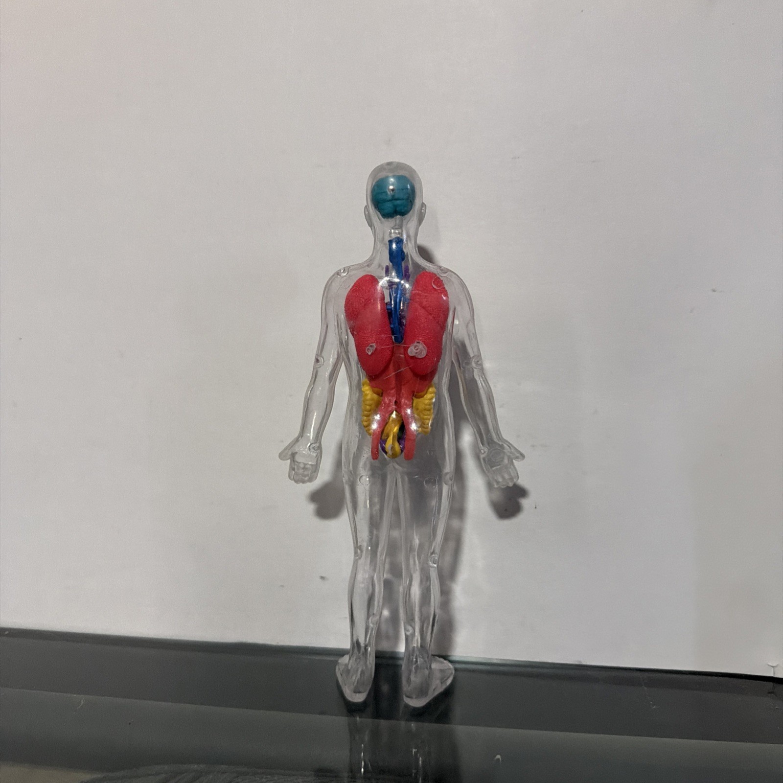 Invisible Man Human Body Anatomy Medical Doll 8” Figure w Organs Plastic