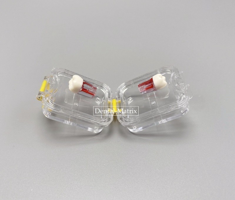 Dental Retainer Denture Storage Box Veneer Membrane Case Boxes with/no slot USA