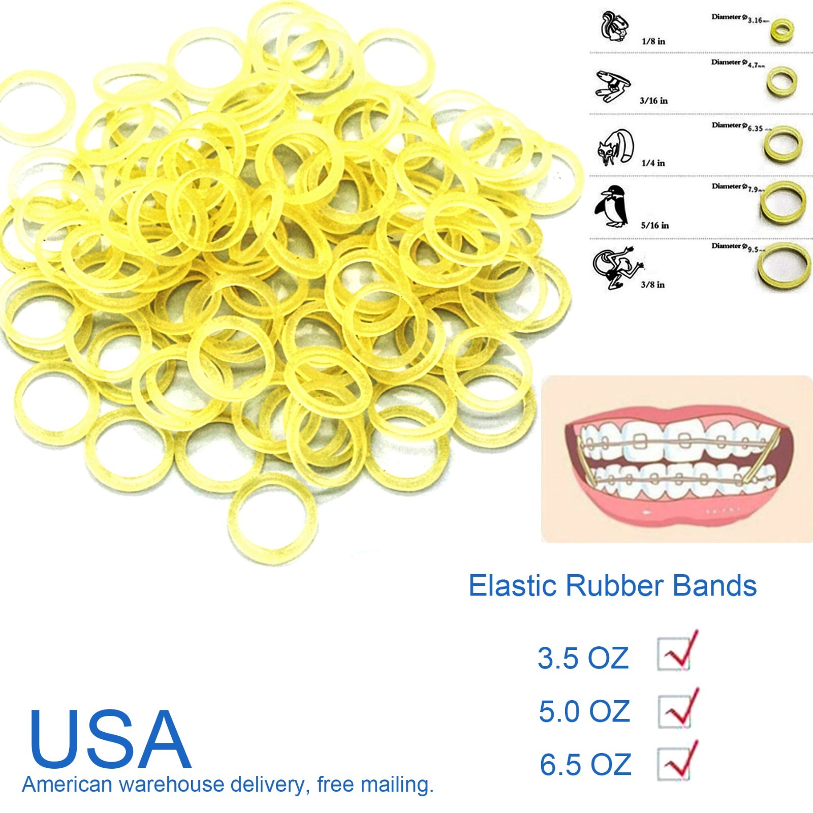US 15Sizes Dental Orthodontic Rubber Bands Elastics Latex Braces 3.5/5.0/6.5 OZ
