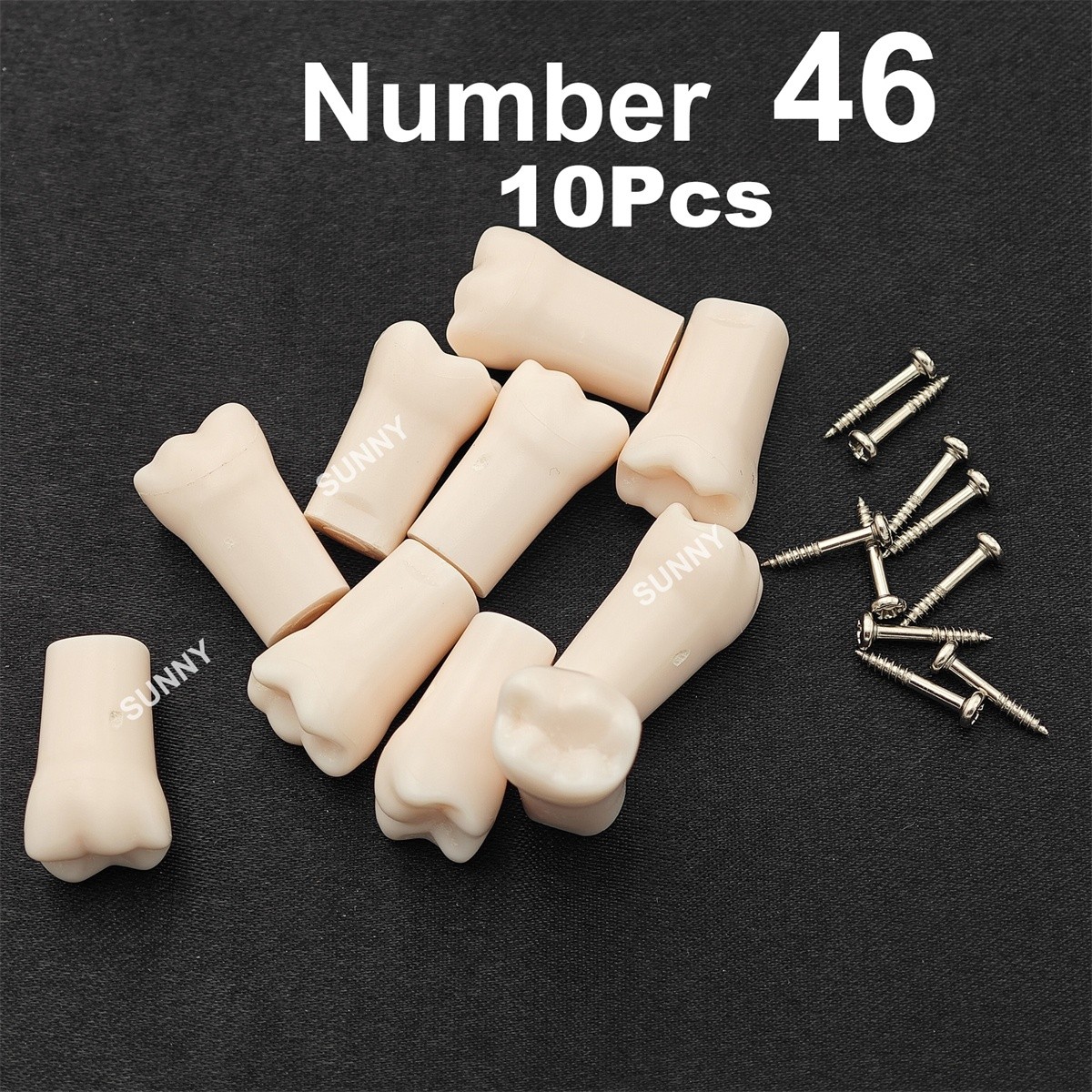 Dental Typodont Replacement Screw-in Teeth Model fit Kilgore NISSIN 200/500 Type
