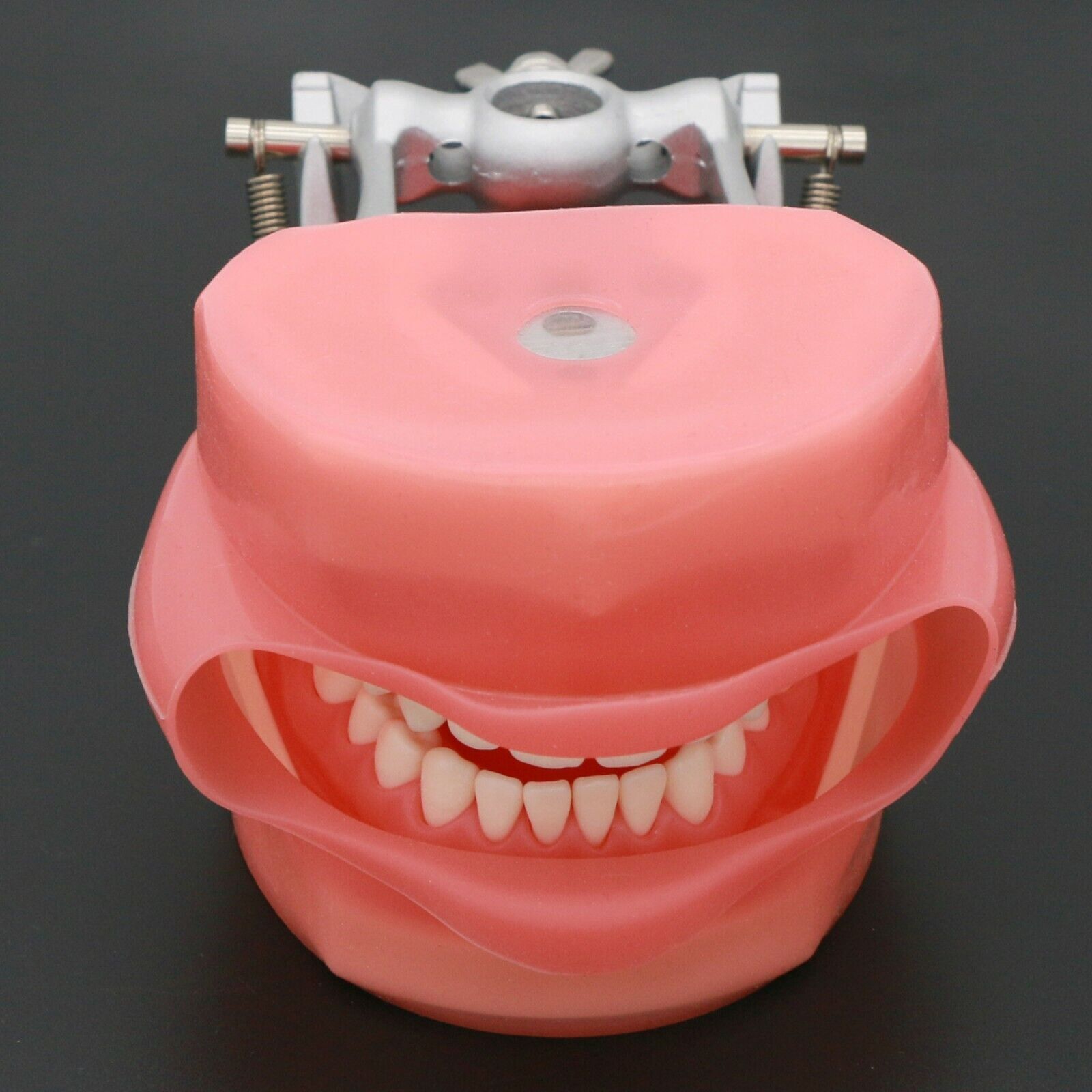 Dental Typodont 28/32Pcs Model Removable Teeth fit Kilgore NISSIN 200/500 Type