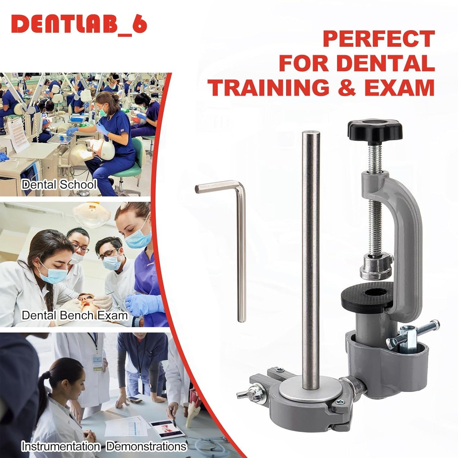 Dental Typodont Mounting Pole Teeth Model 360° Rotating not Teeth Model New