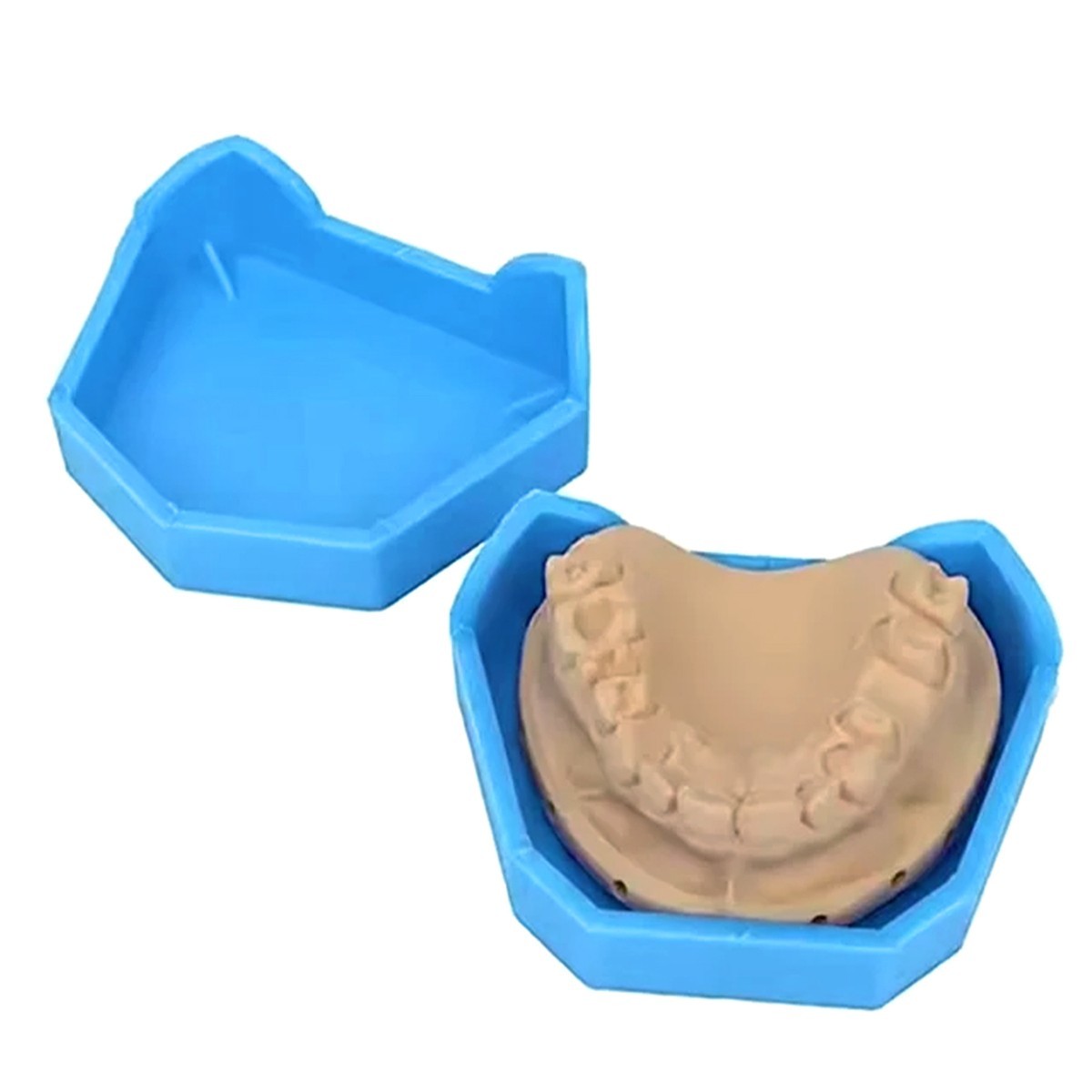 6pcs AZDENT Dental Lab Silicone Rubber Plaster Model Base Former Molds Tray