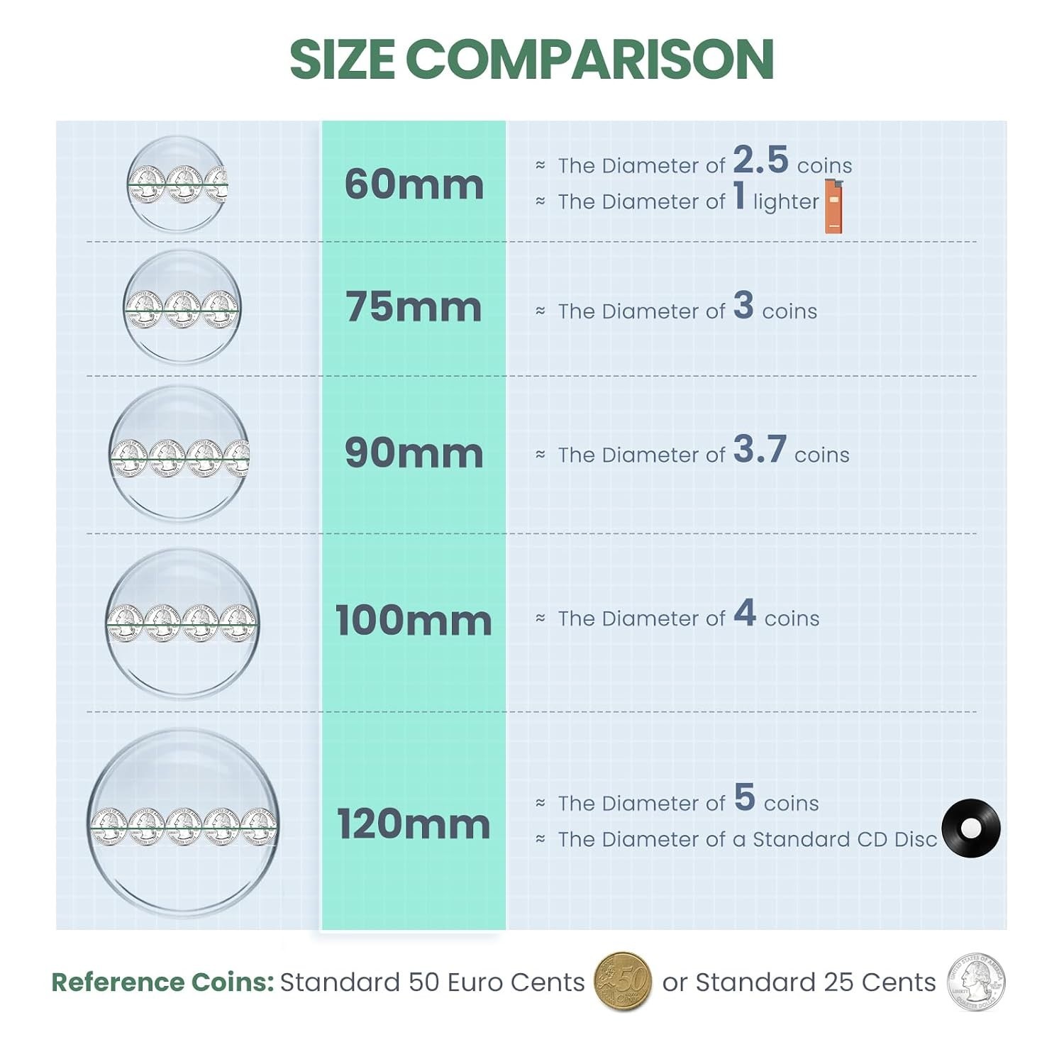 5-Piece 60mm Glass Petri Dish Set – Durable Borosilicate for Bacterial Cultures