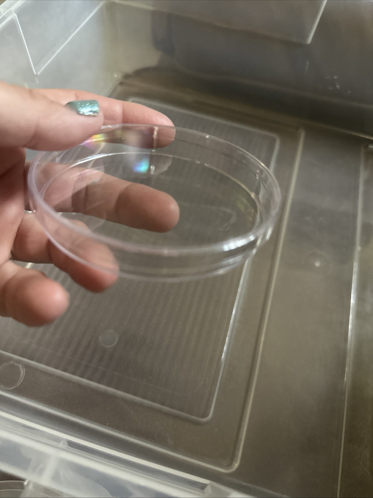 United Scientific 10 Pack Sterile Thick Plastic Petri Dishes 90x15mm, Clear