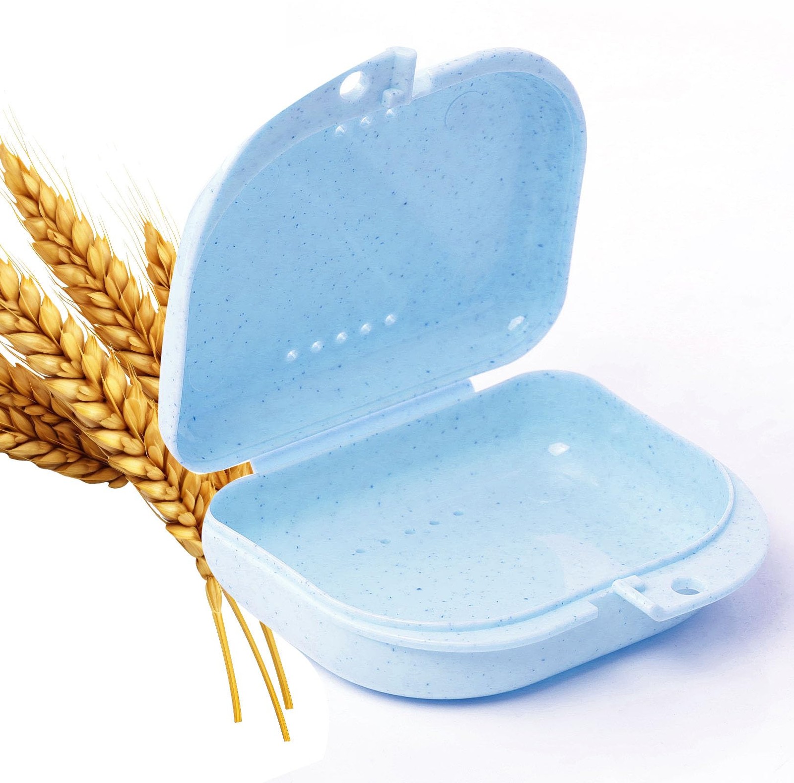 Retainer Case with Vent Holes, 1 Pcs Denture Case, Wheat Straw , Blueberry