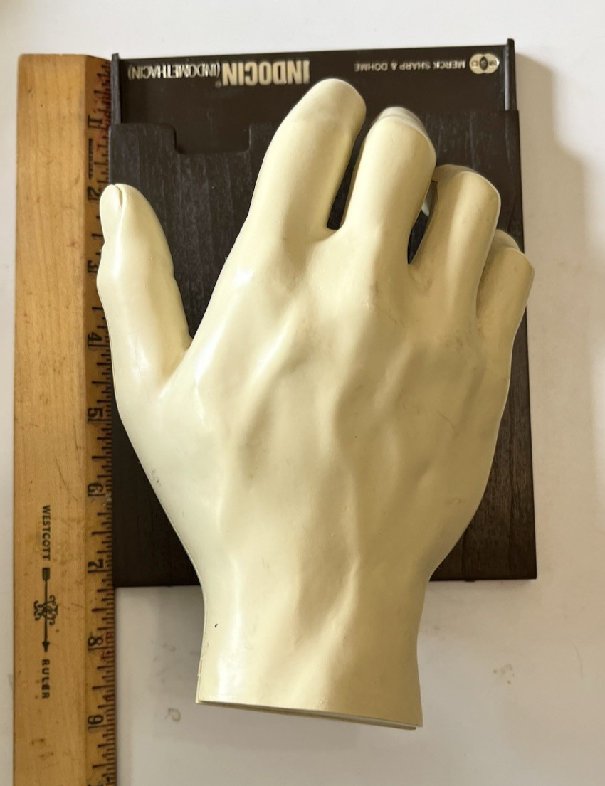 Vintage Merck Anatomical Medical Hand Model Indocin With Booklets 1967 Display