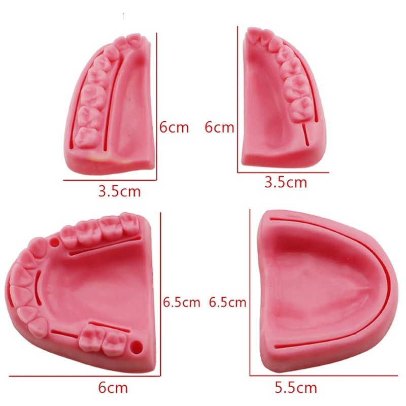 Dental Oral/Gum Suture Training Pad Silicone Periodontitis Suture Model