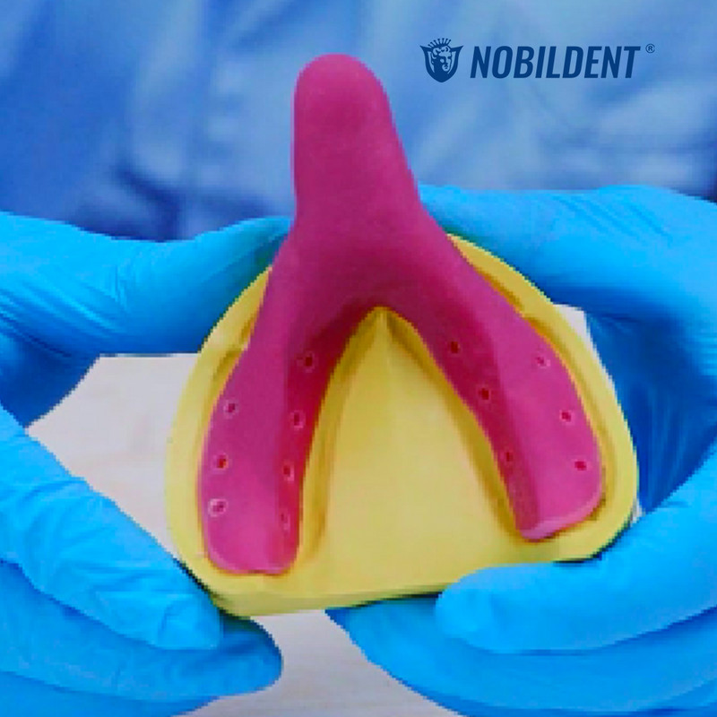 NOBILCURE Dental Light Curing Unit for Light Curing Trays