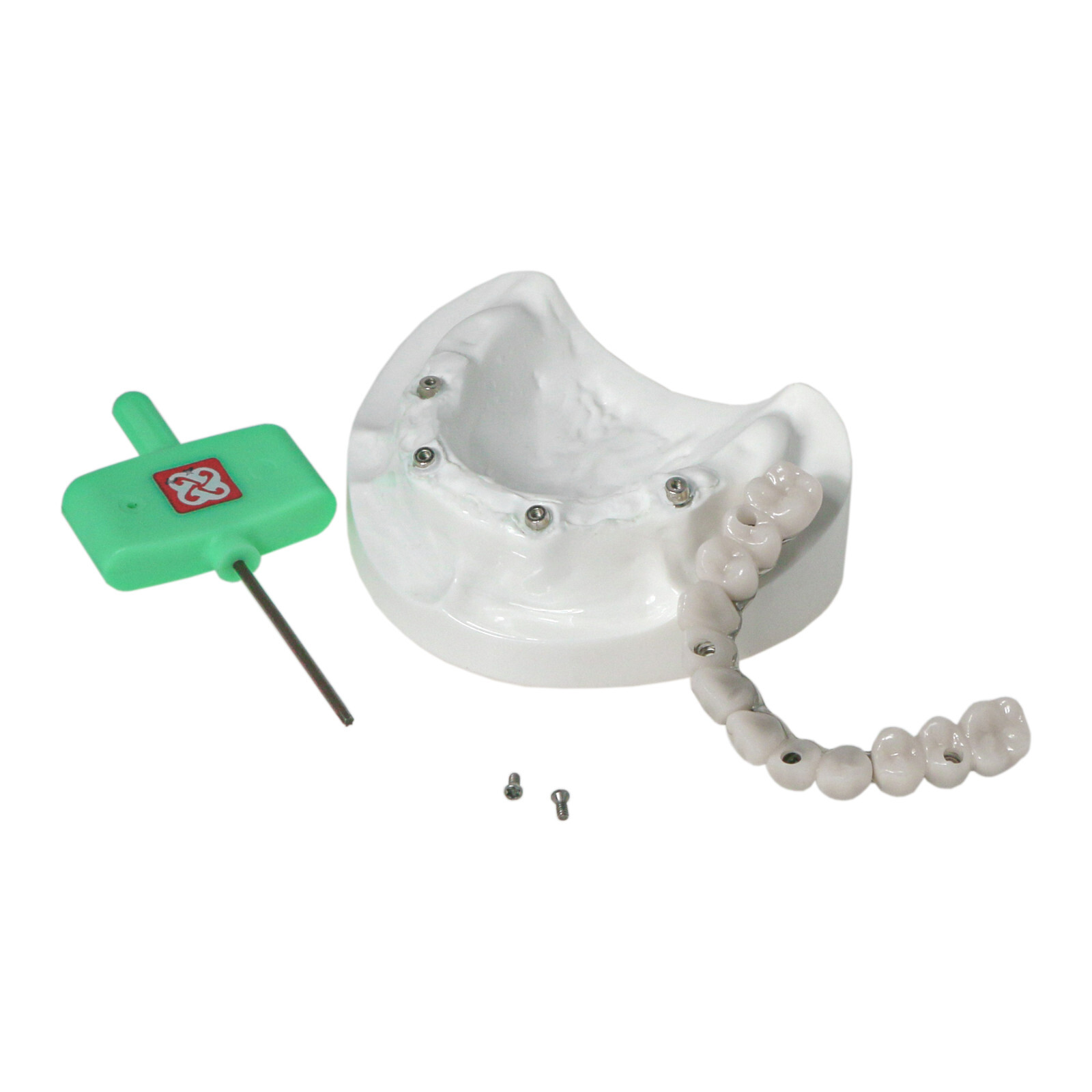 Implant Typodont Teeth Restoration Model Overdenture Practice Demo Series Dental