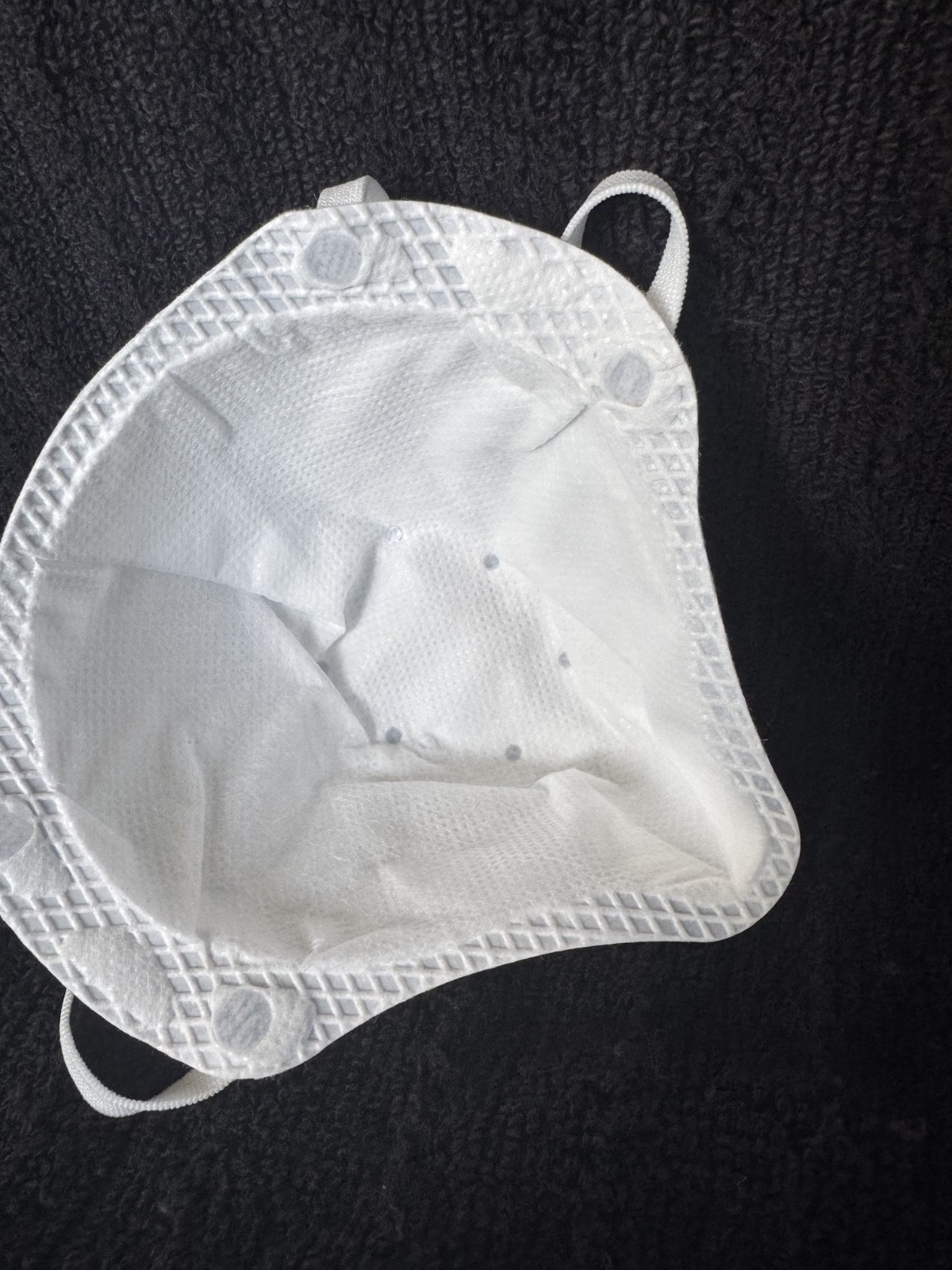 200 Count N95 Disposable Mask DC300N95B