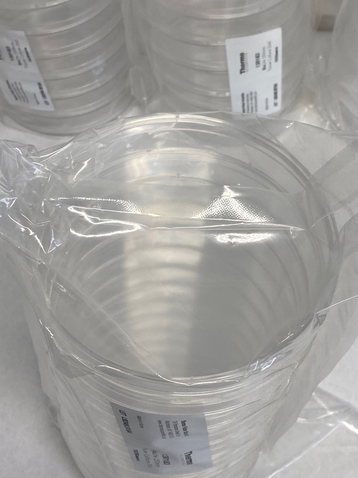 (40) THERMO BioLite 150mm x 20mm Cell Culture-Treated Petri Dishes 35mL 130183