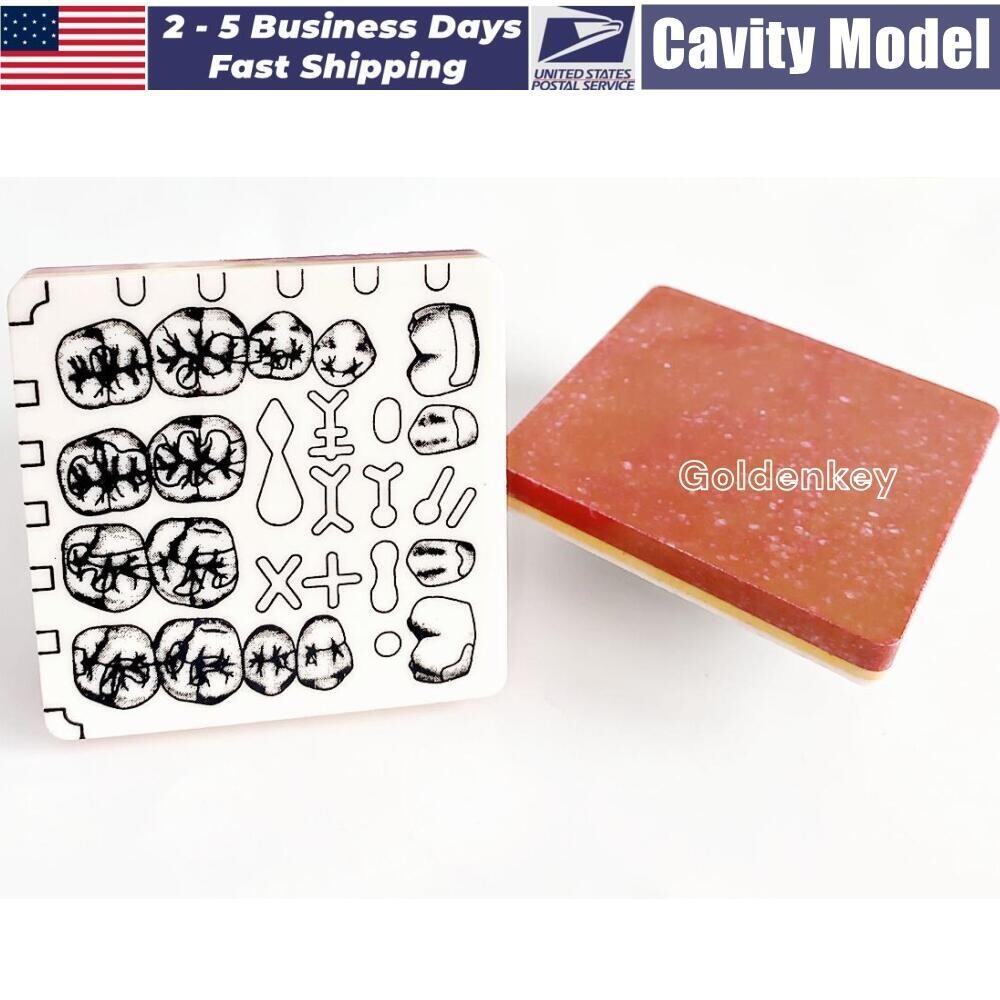 Dental Cavity Preparation Hole Dentin Practise Model Filling Template US STOCK