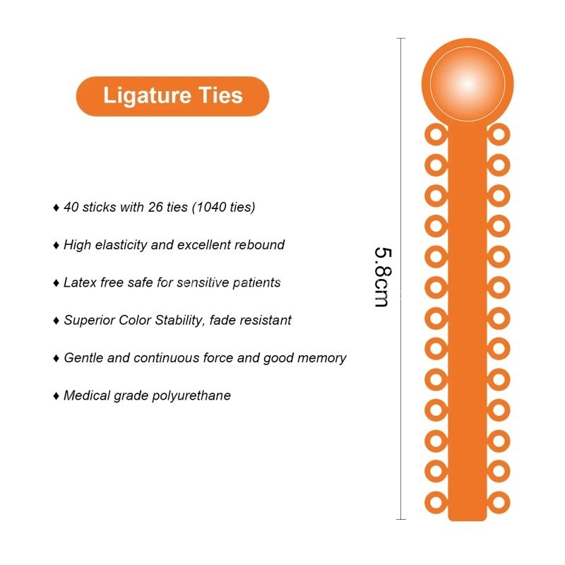 Dental Orthodontic Elastic Ligature Ties Rubber Bands for Brackets Brace 1 bag