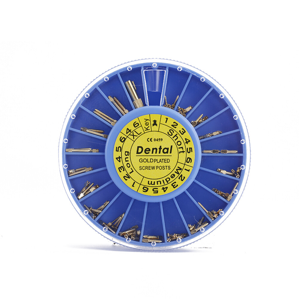 240pcs/kit Dental Screw Post Completed Kit Silver/Gold Plated Endo Conical Pins