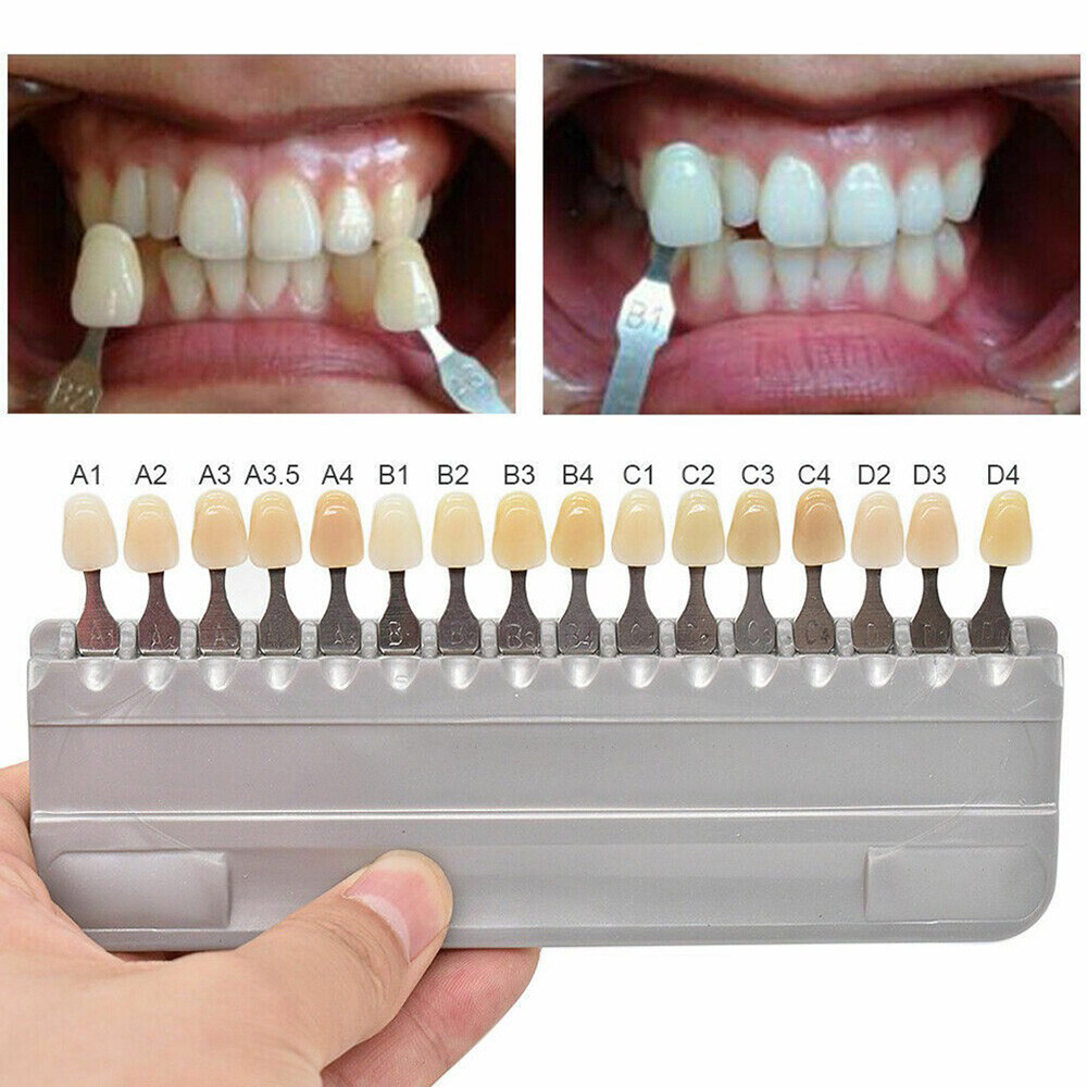 Shade Guide Dental Dentist Materials 16 Colors Shade Guide Teeth