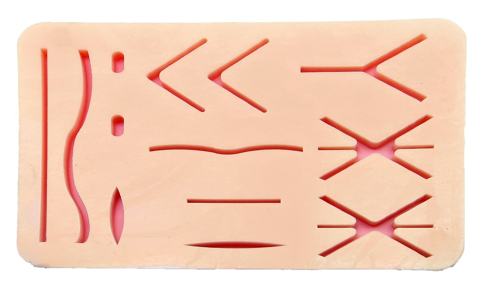 Silicon Veterinary Suture Training Pad With Tray Suture Pad Size 13 Wounds Tools