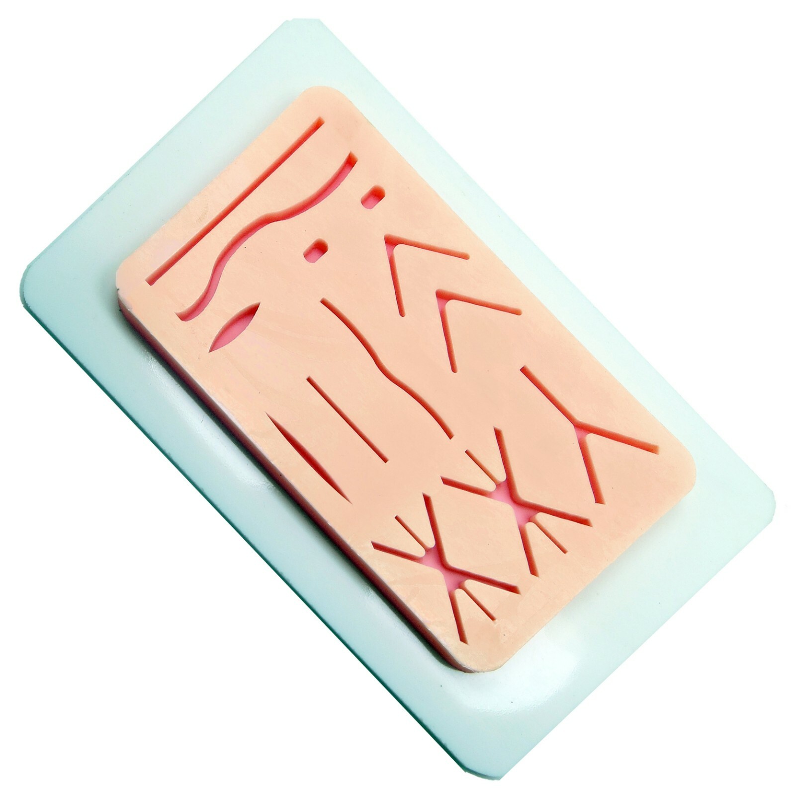 Silicon Veterinary Suture Training Pad With Tray Suture Pad Size 13 Wounds Tools