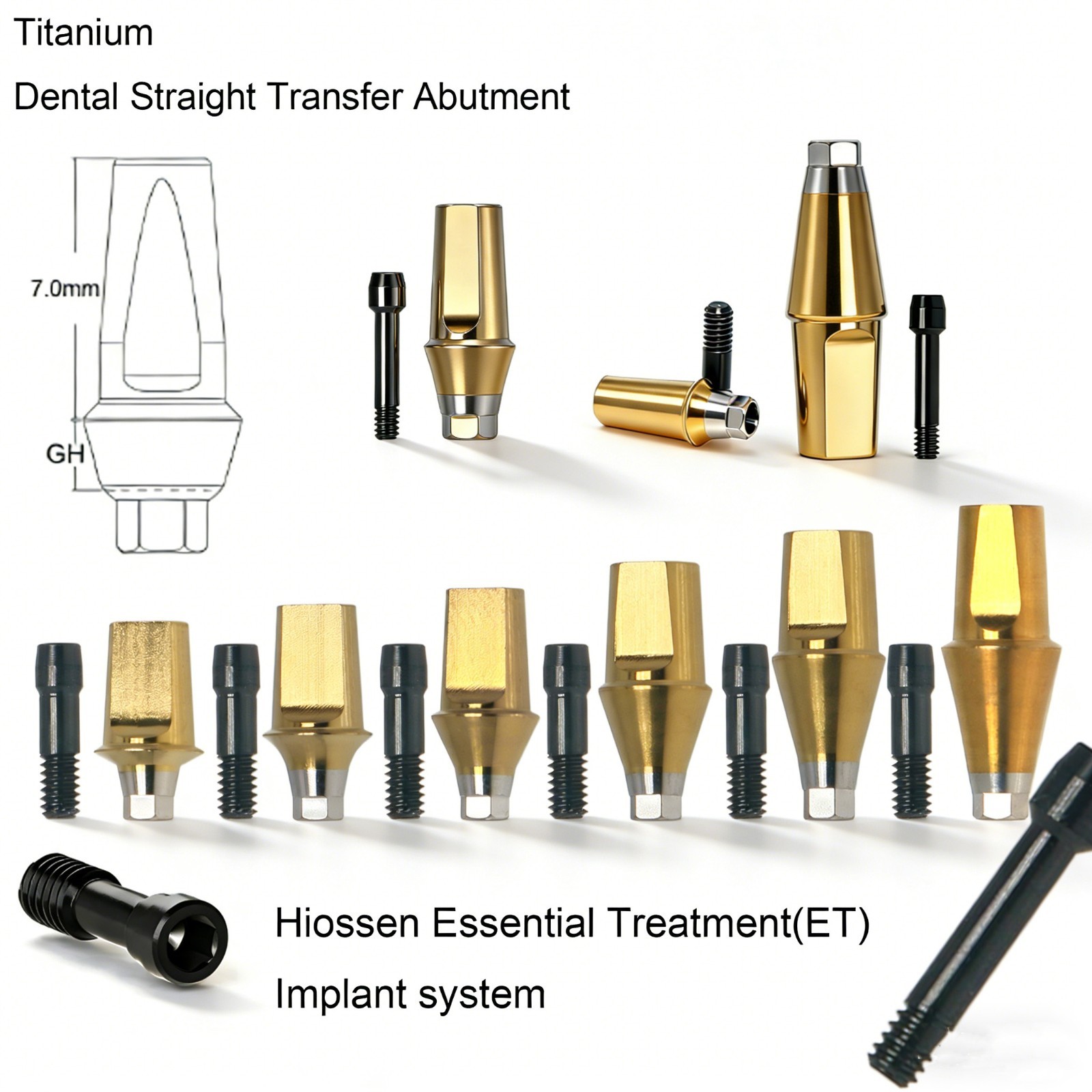 US Hiossen ET Dental Prosthetics Titanium All Implant Abutments fit Mini/Regular
