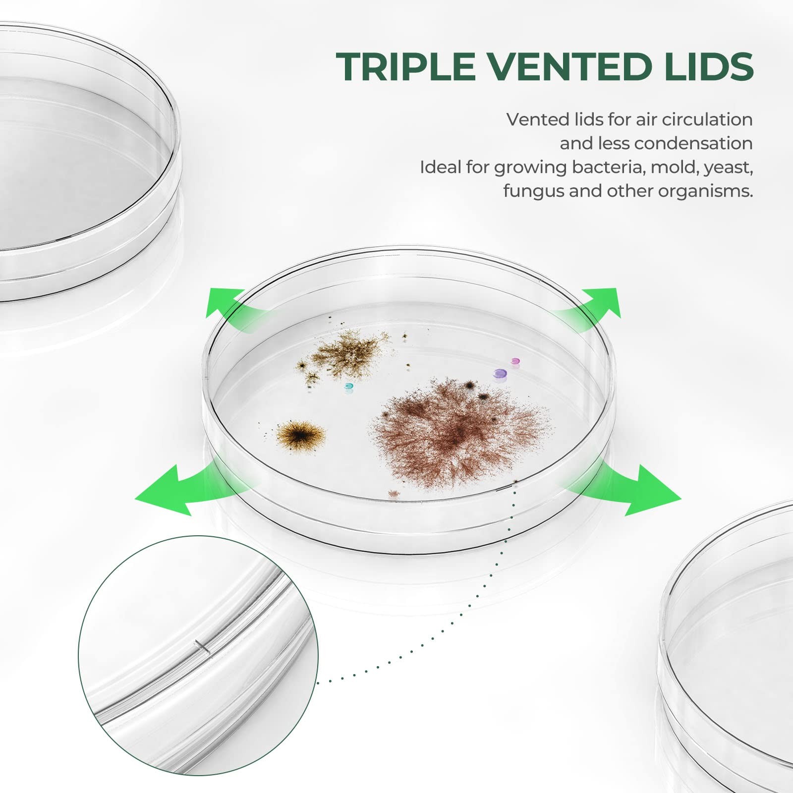 10 Pack Sterile Thick Plastic Petri Dishes with Lid, 90mm Dia – No Agar