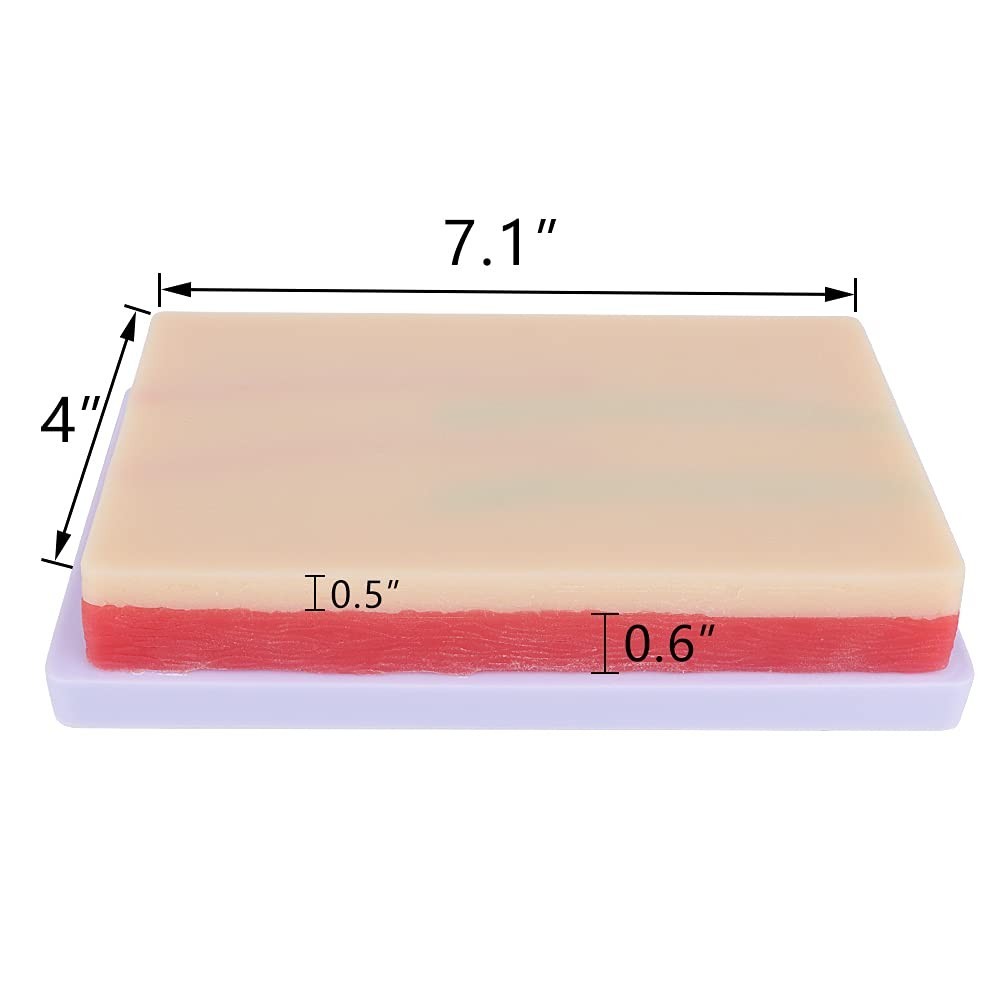 Versatile Injection Training Pad – Silicone Skin Model with 4 Veins – 7.1″ x 4″