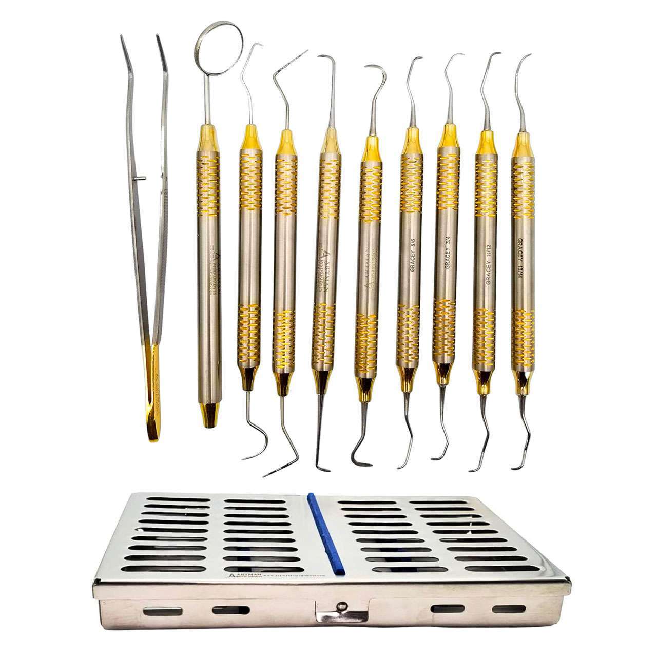 Artman Instruments Prophylaxis Professional Cleaning Set, 10/Pk.