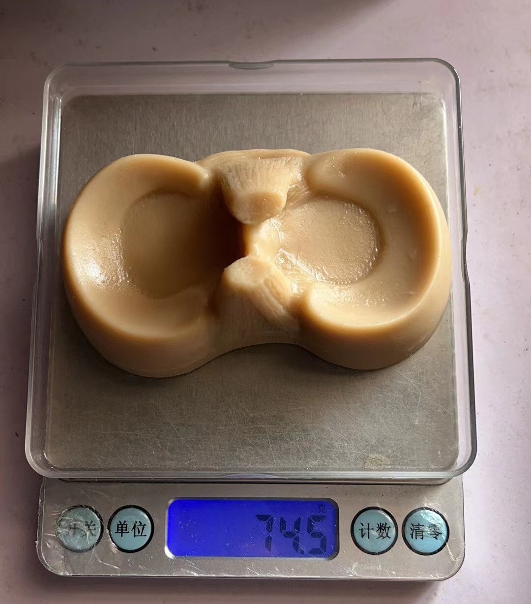 1Piece Human Meniscus Practice For Orthopedic Surgeons Model