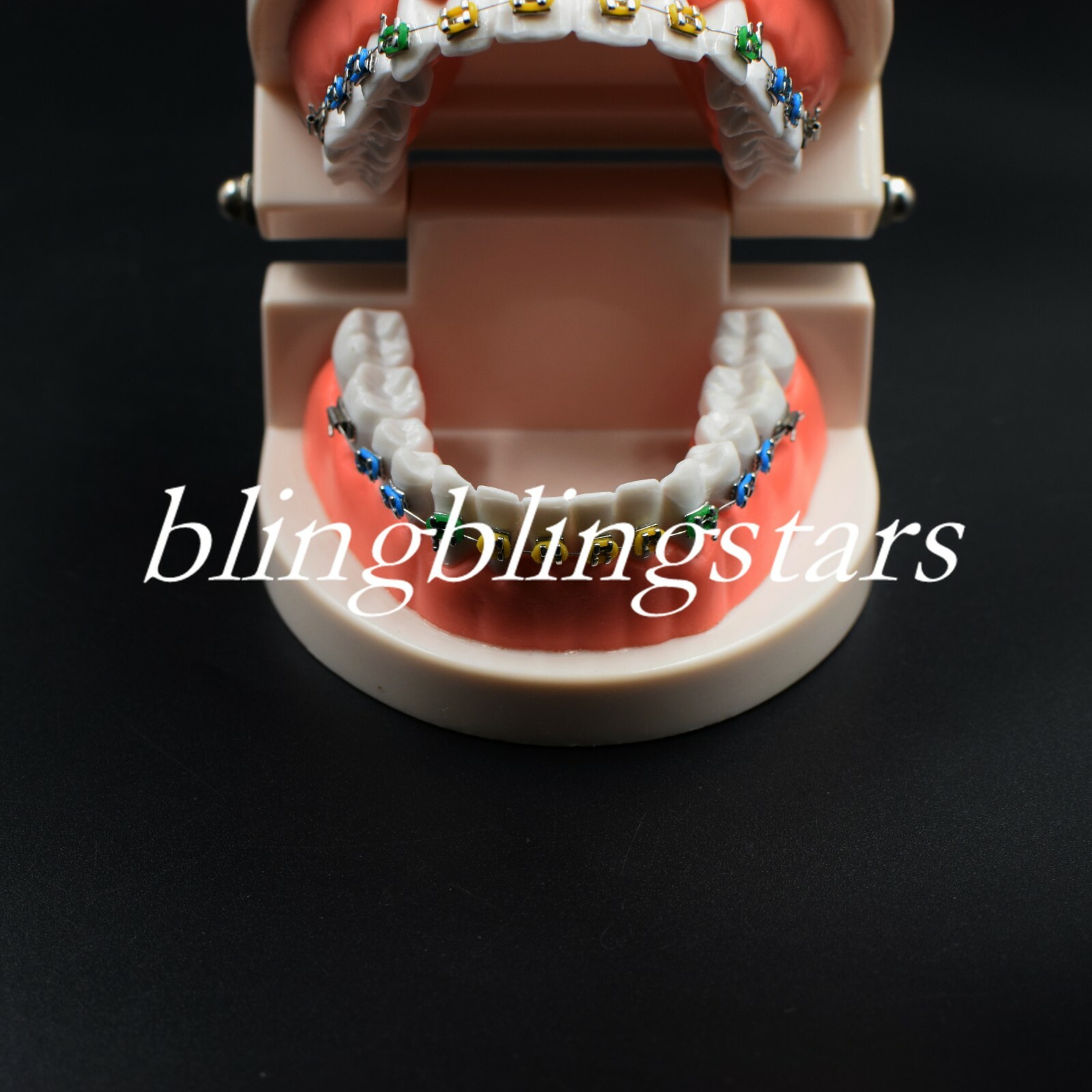 Dental Orthodontics Standard Tooth Model Bracket Ligature Buccal Tube Tie