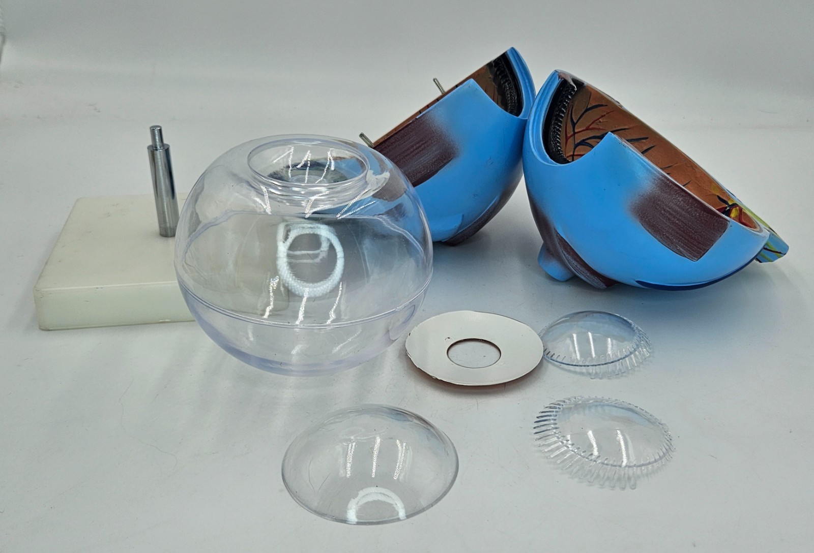 Eyeball Medical Teaching Model Multiple Pieces on Stand Anatomical