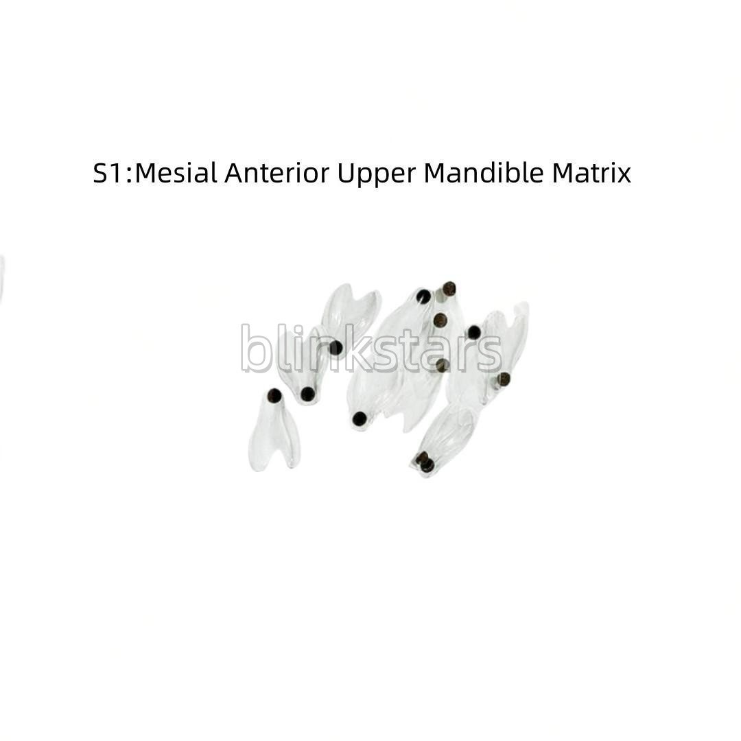 5 Pcs/Box Dental Restorative BT Bow Matrices Matrix Contoured Bands Transparent