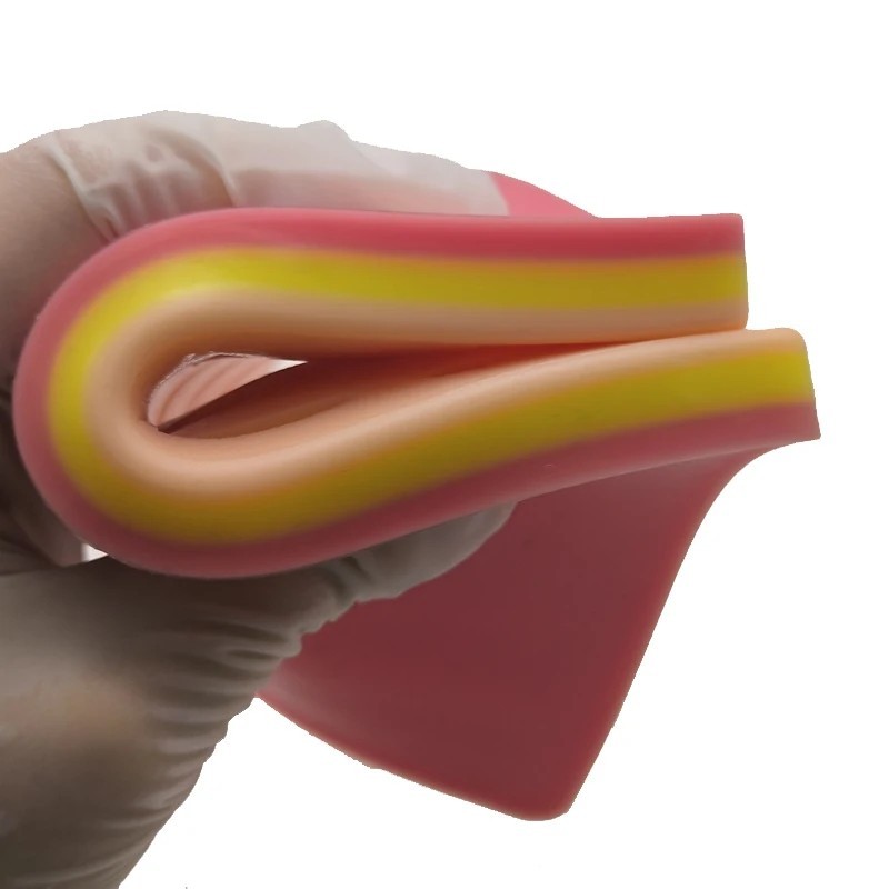 Dental Oral/Gum Suture Training Pad Silicone Periodontitis Suture Model