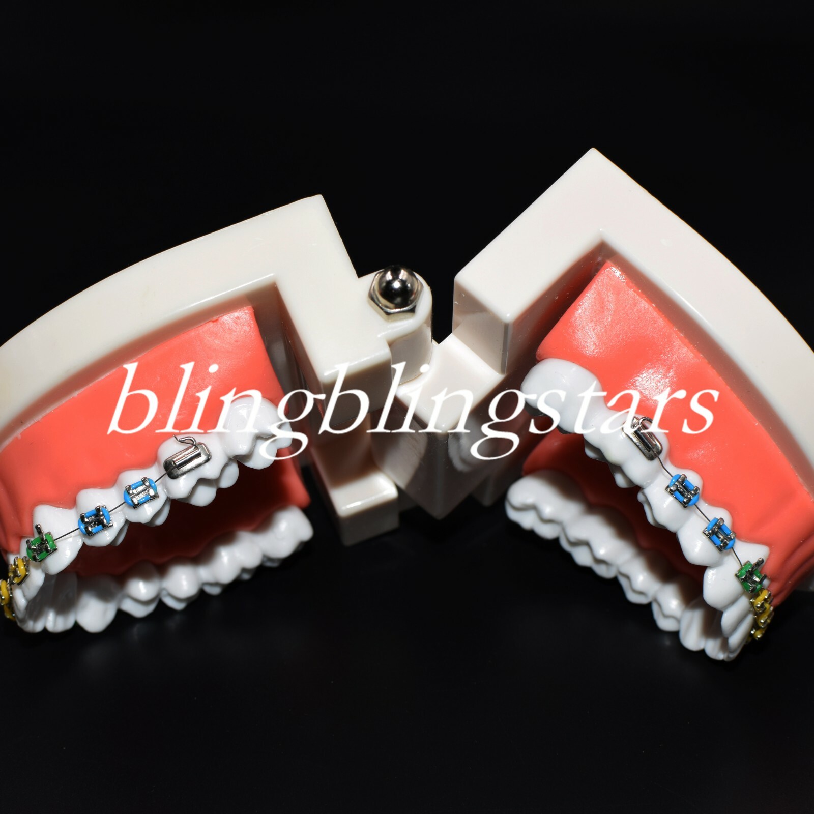 Dental Orthodontics Standard Tooth Model Bracket Ligature Buccal Tube Tie