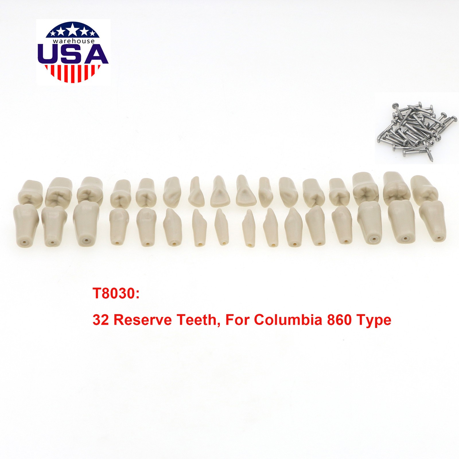 US Dental Overdenture/Implant/Orthodontic Typodont Ortho Training Teaching Model