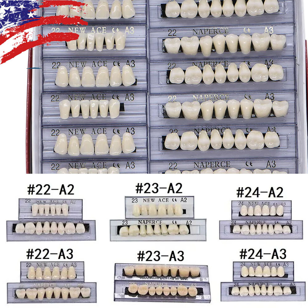 168X Acrylic Resin A1/A2/A3 Dental Denture Teeth Upper Lower Shade 22/23/24# USA