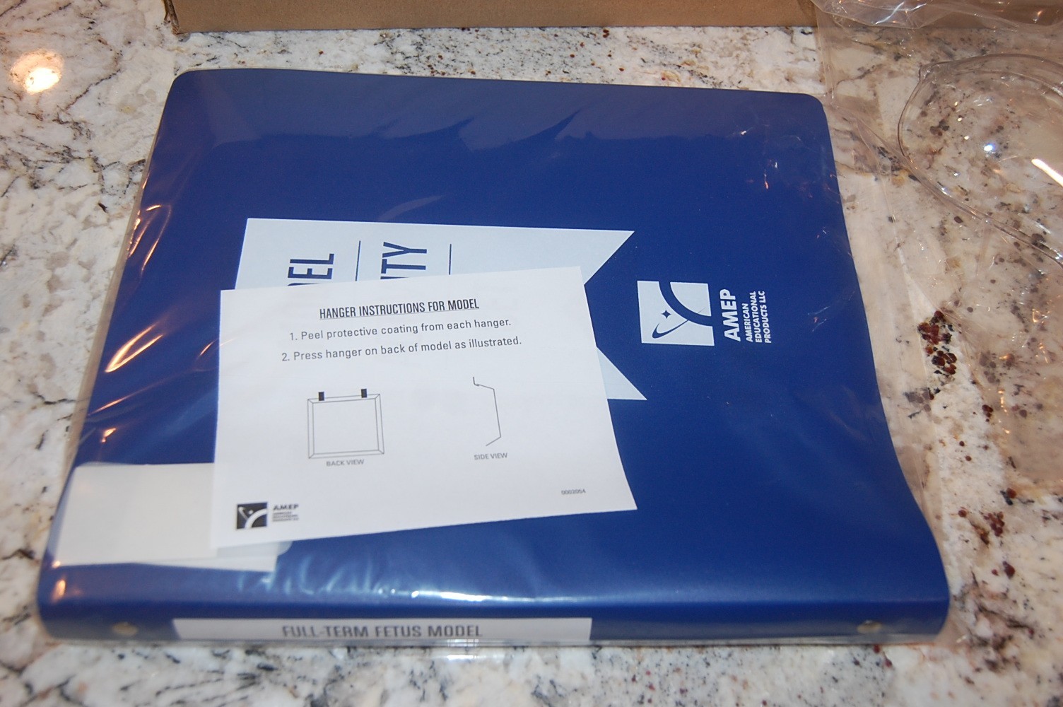 Full Term Fetus Model Activity Set – 24″ x 18″ HUBBARD