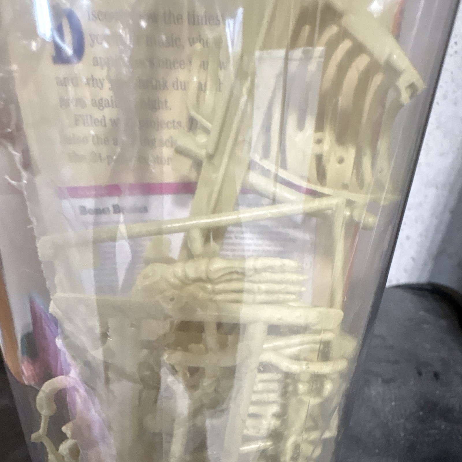 Human Skeleton Model Anatomical Figure w/ Clear Dome Display Case, Education