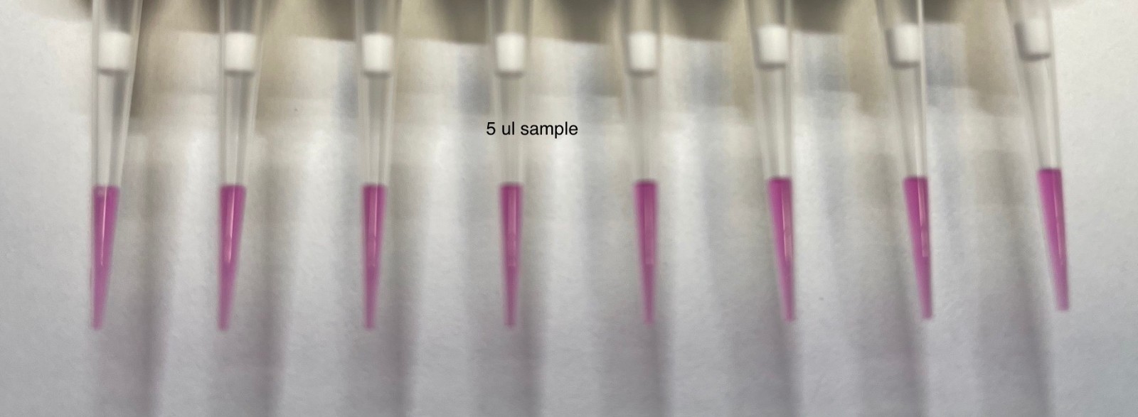Thermo scientific 8-channel Finnpipette F2 Pipettor 1-10uL