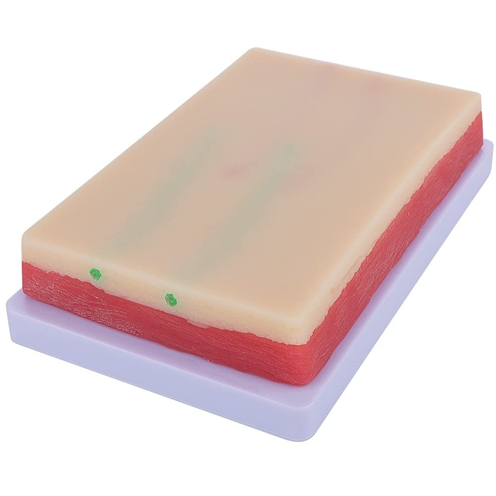 Versatile Injection Training Pad – Silicone Skin Model with 4 Veins – 7.1″ x 4″