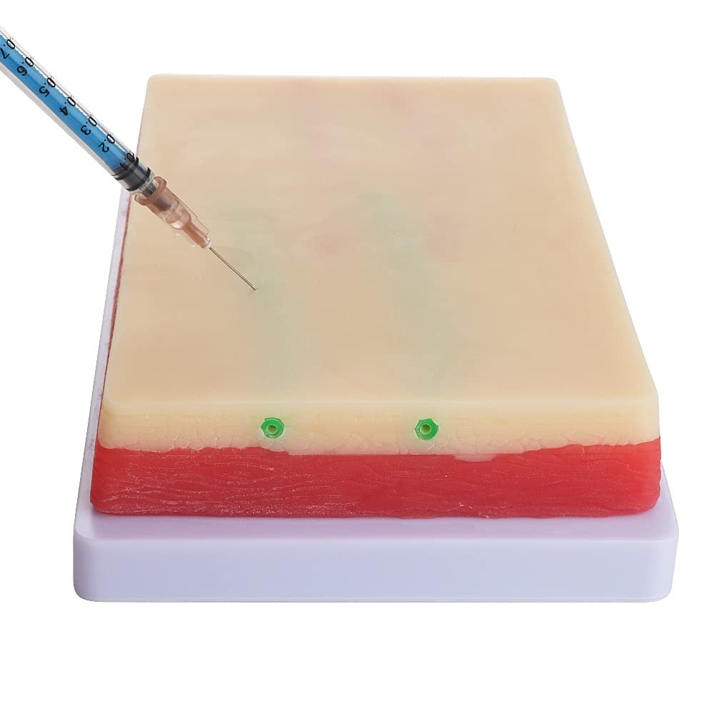 Versatile Injection Training Pad – Silicone Skin Model with 4 Veins – 7.1″ x 4″