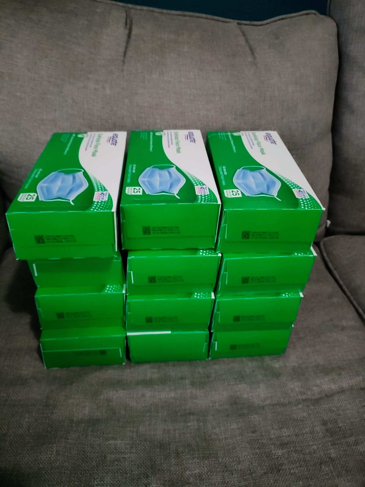 Equate Earloop Face Masks Help Filter Out Dust, Bacteria Pollon 300 masks total