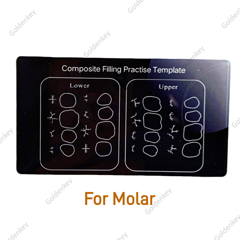 6Pc Dental Composite Resin Filling Model Dentist Build Up Teeth Morphology Board