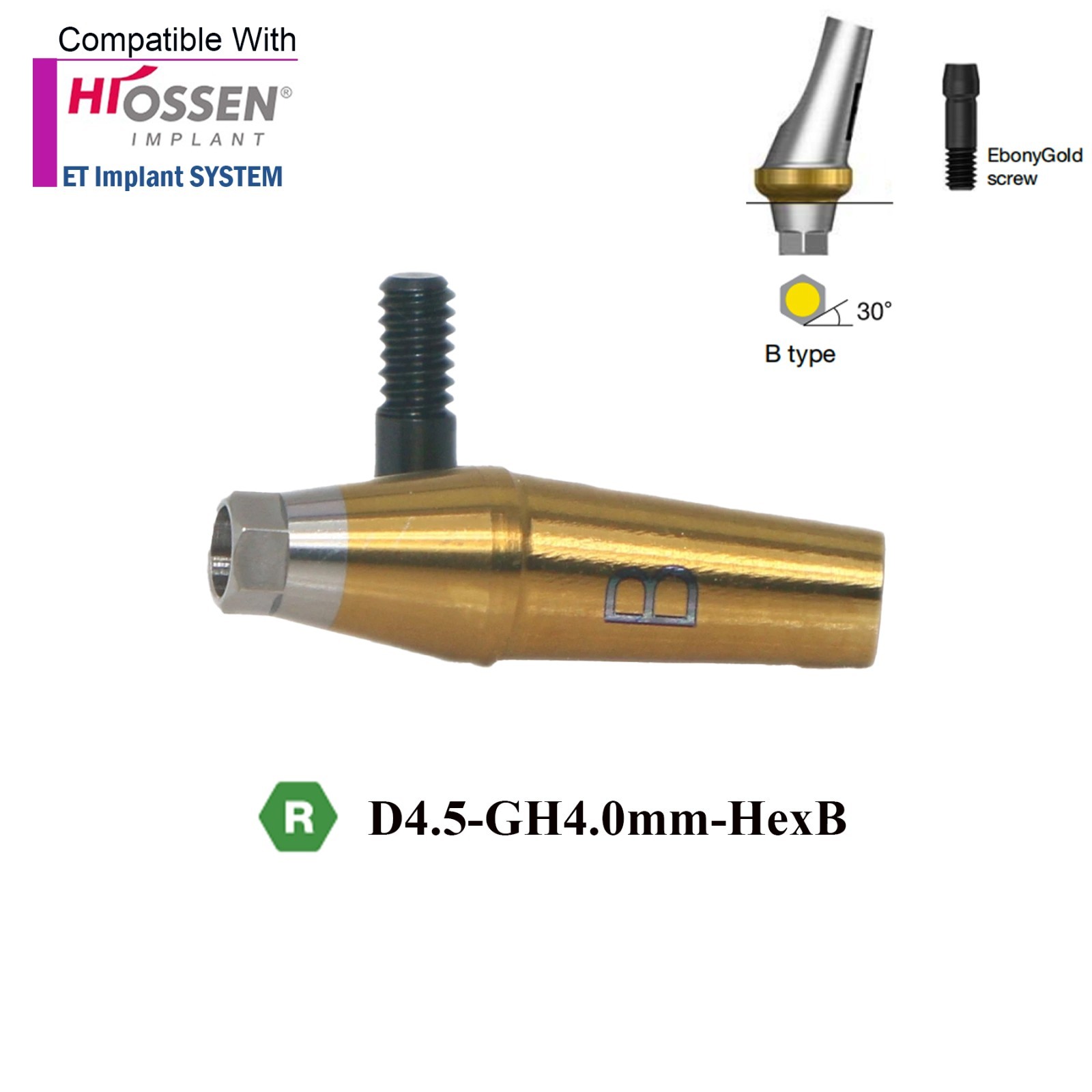 Angulated Anatomic abutment 30°Mini/Regular B Type for Hiossen Osstem TS Implant
