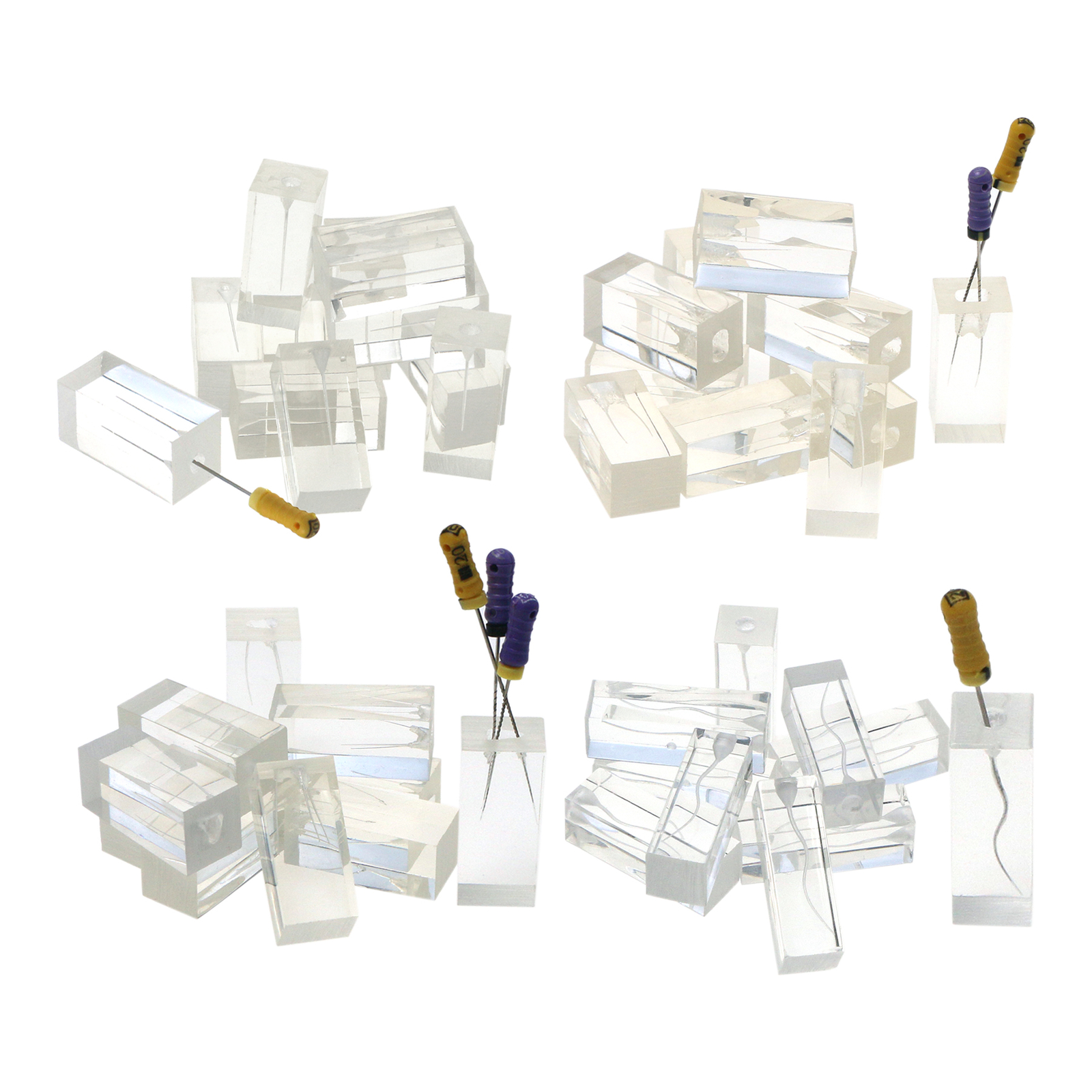 10Pcs Dental Endo Root Canals Teeth Model Practice Block RCT Pulp Cavity Study